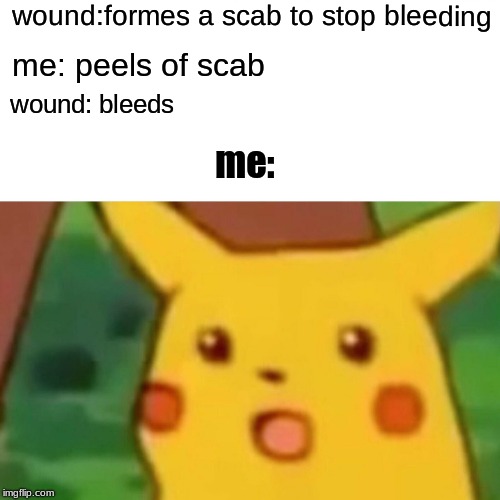 Surprised Pikachu Meme | wound:formes a scab to stop bleeding; me: peels of scab; wound: bleeds; me: | image tagged in memes,surprised pikachu | made w/ Imgflip meme maker