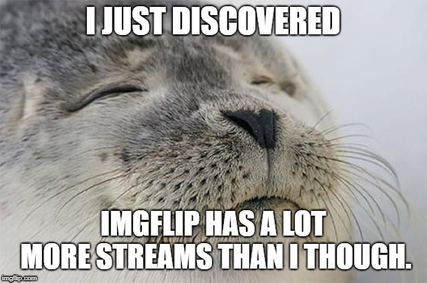 Satisfied Seal | I JUST DISCOVERED; IMGFLIP HAS A LOT MORE STREAMS THAN I THOUGH. | image tagged in memes,satisfied seal | made w/ Imgflip meme maker