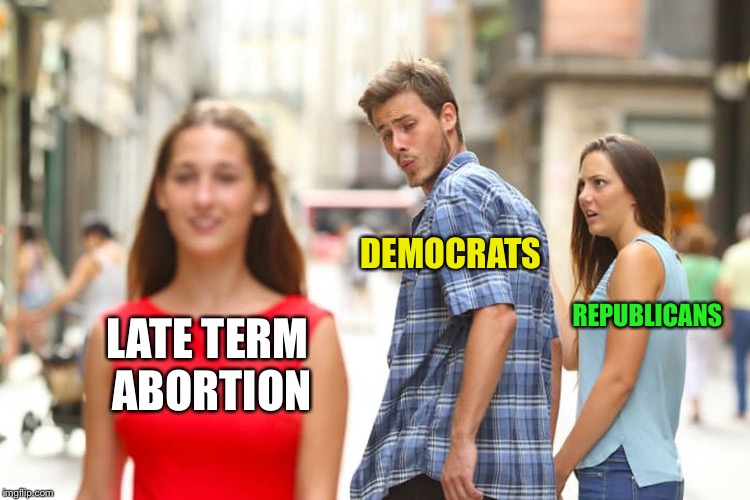 Distracted Boyfriend Meme | LATE TERM ABORTION DEMOCRATS REPUBLICANS | image tagged in memes,distracted boyfriend | made w/ Imgflip meme maker