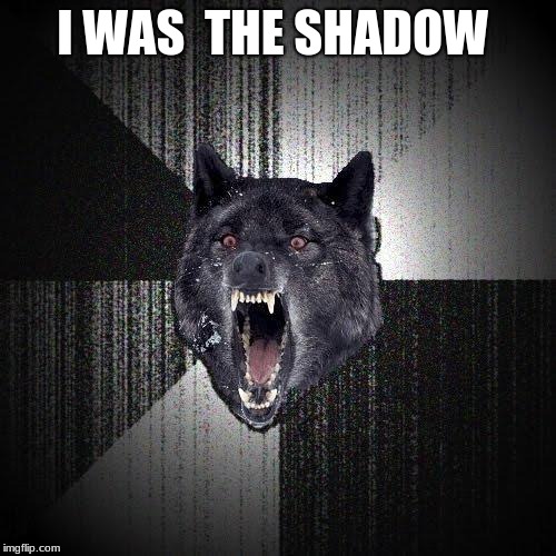 Insanity Wolf Meme | I WAS  THE SHADOW | image tagged in memes,insanity wolf | made w/ Imgflip meme maker