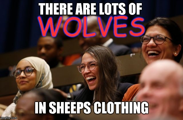 THERE ARE LOTS OF IN SHEEPS CLOTHING WOLVES | made w/ Imgflip meme maker