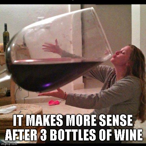 Wine Drinker | IT MAKES MORE SENSE AFTER 3 BOTTLES OF WINE | image tagged in wine drinker | made w/ Imgflip meme maker