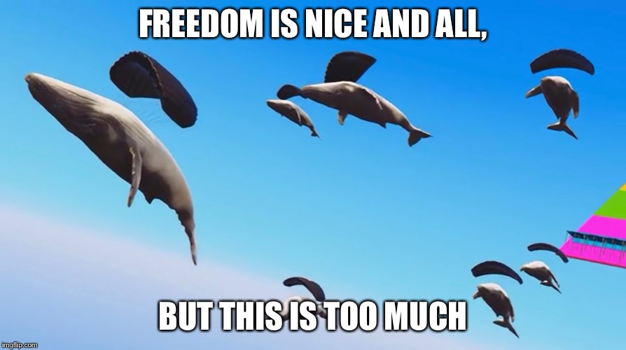 Whales with freedom | FREEDOM IS NICE AND ALL, BUT THIS IS TOO MUCH | image tagged in freedom,whales,flying | made w/ Imgflip meme maker