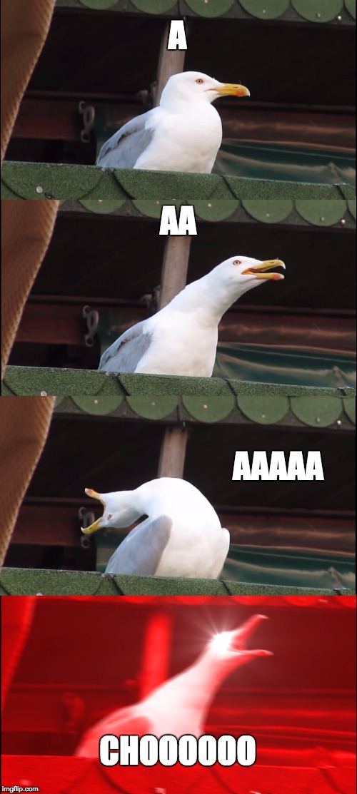 Inhaling Seagull Meme | A; AA; AAAAA; CHOOOOOO | image tagged in memes,inhaling seagull | made w/ Imgflip meme maker
