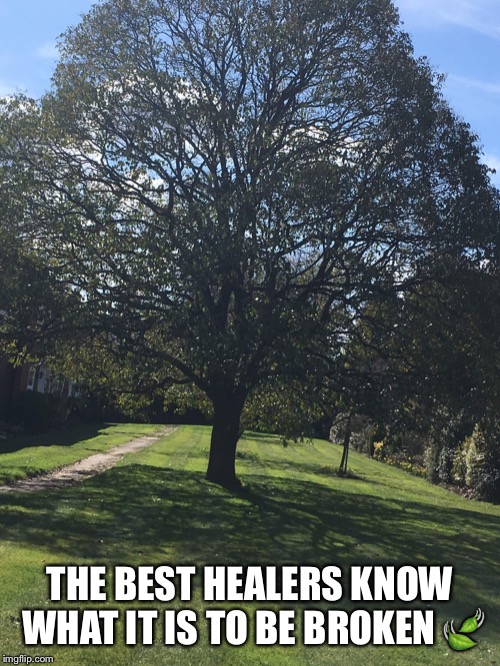 THE BEST HEALERS KNOW WHAT IT IS TO BE BROKEN 🍃 | made w/ Imgflip meme maker