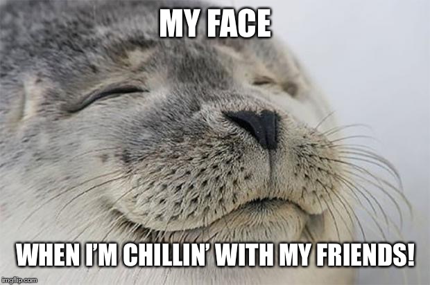 Satisfied Seal Meme | MY FACE; WHEN I’M CHILLIN’ WITH MY FRIENDS! | image tagged in memes,satisfied seal | made w/ Imgflip meme maker