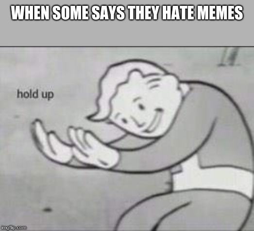 Fallout Hold Up | WHEN SOME SAYS THEY HATE MEMES | image tagged in fallout hold up,memes,funny | made w/ Imgflip meme maker