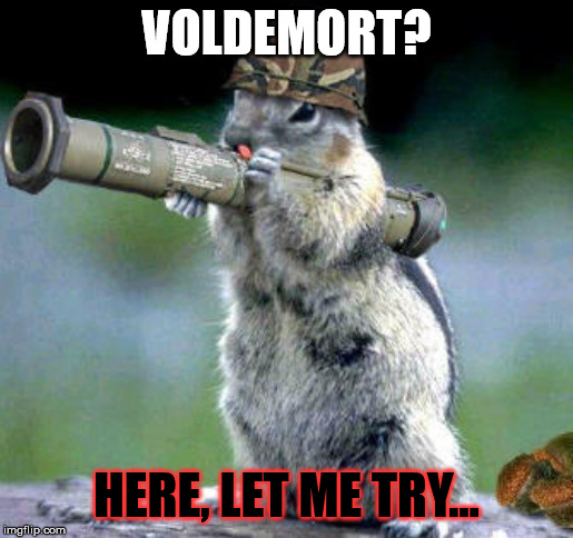 Bazooka Squirrel Meme | VOLDEMORT? HERE, LET ME TRY... | image tagged in memes,bazooka squirrel | made w/ Imgflip meme maker