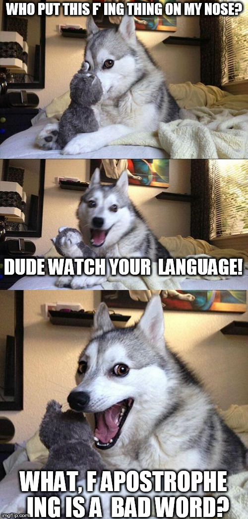that is a  bad  word dude?  | WHO PUT THIS F' ING THING ON MY NOSE? DUDE WATCH YOUR  LANGUAGE! WHAT, F APOSTROPHE  ING IS A  BAD WORD? | image tagged in memes,bad pun dog,dog on dogs,stupid,bad language,watch your mouth | made w/ Imgflip meme maker
