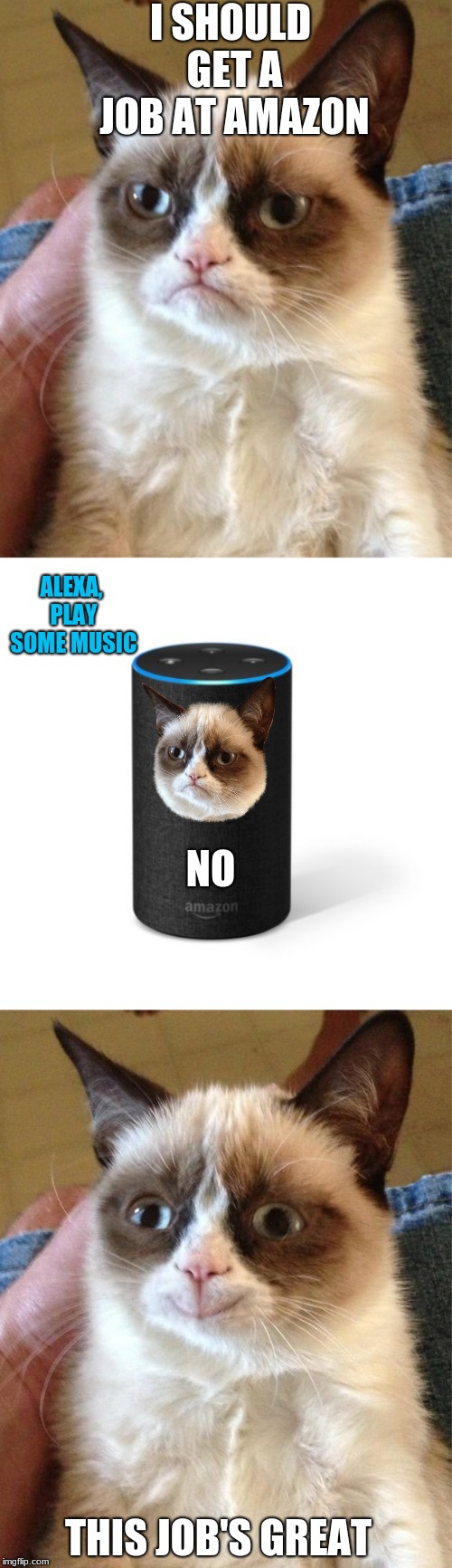 They have so much in common. | I SHOULD GET A JOB AT AMAZON; ALEXA, PLAY SOME MUSIC; NO; THIS JOB'S GREAT | image tagged in memes,grumpy cat,alexa,funny,cats,amazon echo | made w/ Imgflip meme maker