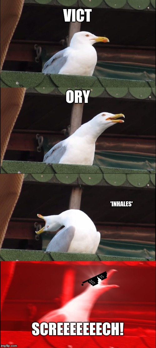 Inhaling Seagull | VICT; ORY; 'INHALES'; SCREEEEEEECH! | image tagged in memes,inhaling seagull | made w/ Imgflip meme maker