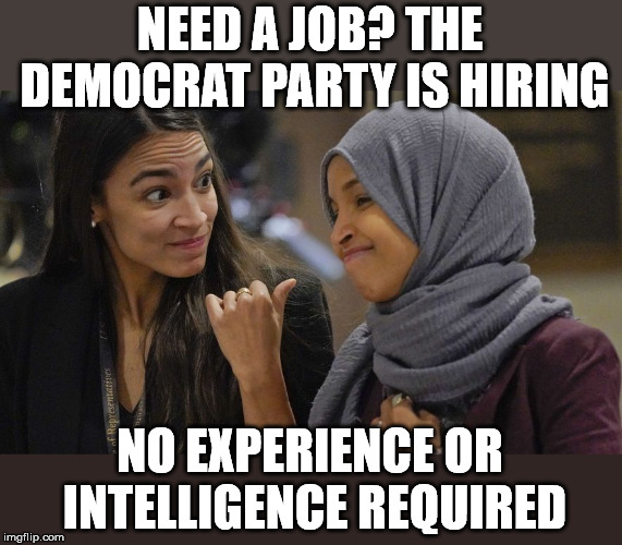 Is this really who they want to lead them? | NEED A JOB? THE DEMOCRAT PARTY IS HIRING; NO EXPERIENCE OR INTELLIGENCE REQUIRED | image tagged in alexandria ocasio cortez | made w/ Imgflip meme maker