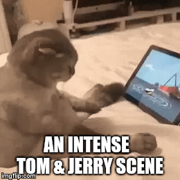 AN INTENSE 
TOM & JERRY SCENE | image tagged in gifs | made w/ Imgflip video-to-gif maker