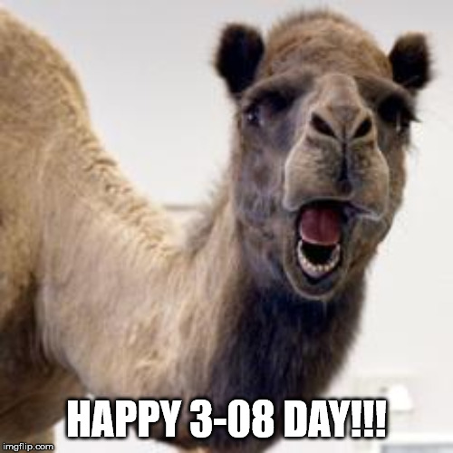 Camel | HAPPY 3-08 DAY!!! | image tagged in camel | made w/ Imgflip meme maker