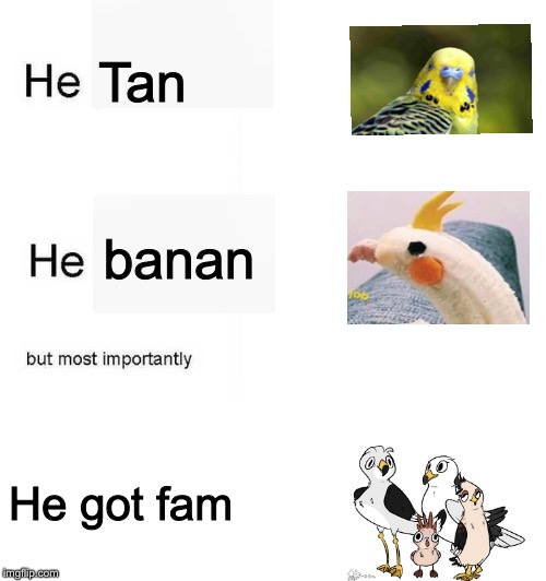 He protec he attac but most importantly | Tan; banan; He got fam | image tagged in he protec he attac but most importantly | made w/ Imgflip meme maker