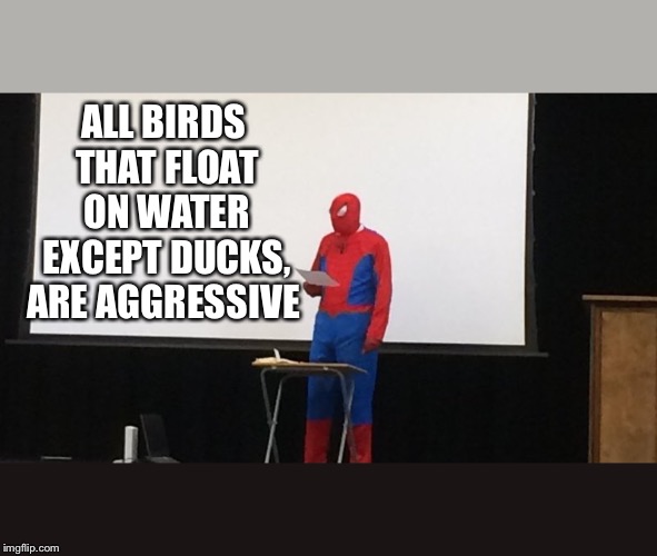 Spider-Man presentation | ALL BIRDS THAT FLOAT ON WATER EXCEPT DUCKS, ARE AGGRESSIVE | image tagged in spider-man presentation | made w/ Imgflip meme maker