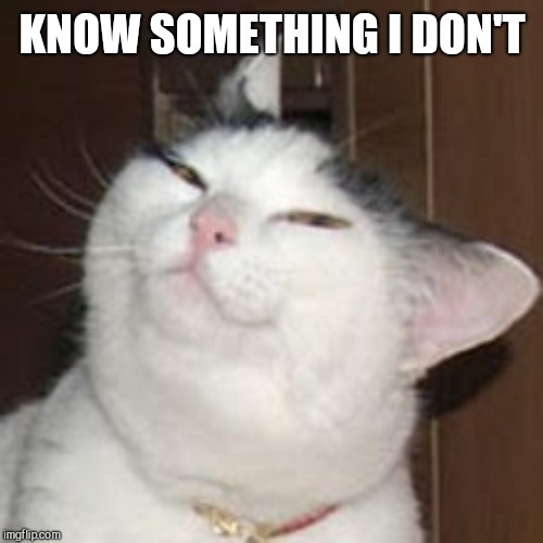 smug cat | KNOW SOMETHING I DON'T | image tagged in smug cat | made w/ Imgflip meme maker