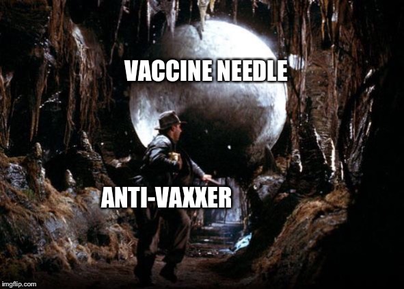VACCINE NEEDLE; ANTI-VAXXER | image tagged in antivax | made w/ Imgflip meme maker
