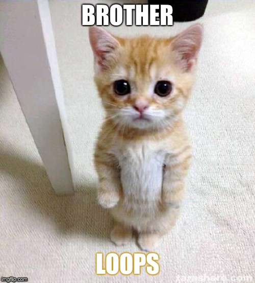 Cute Cat Meme | BROTHER; LOOPS | image tagged in memes,cute cat | made w/ Imgflip meme maker