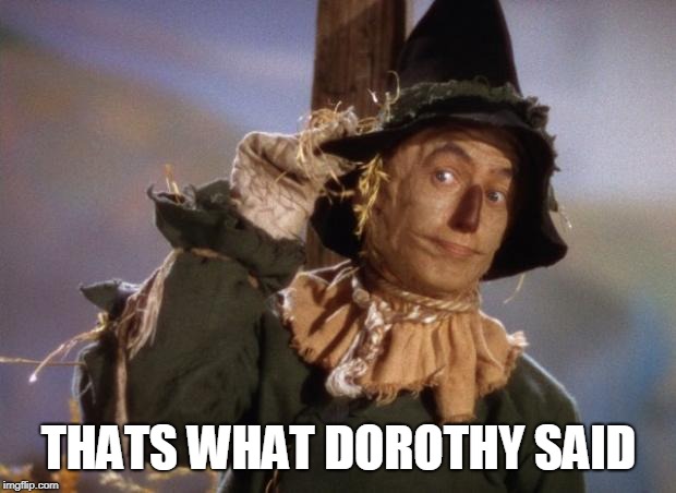 Scarecrow | THATS WHAT DOROTHY SAID | image tagged in scarecrow | made w/ Imgflip meme maker