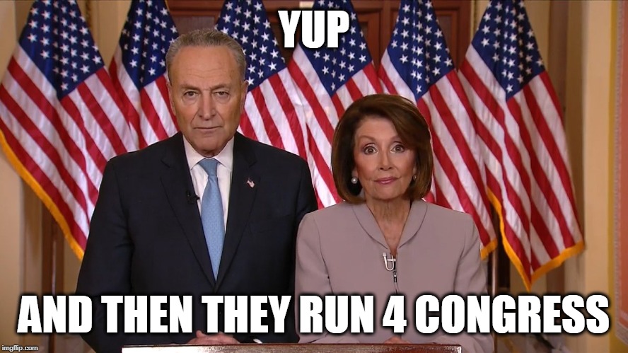 Chuck and Nancy | YUP AND THEN THEY RUN 4 CONGRESS | image tagged in chuck and nancy | made w/ Imgflip meme maker