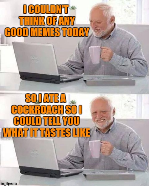 This idea kinda just crawled into my head | I COULDN'T THINK OF ANY GOOD MEMES TODAY; SO I ATE A COCKROACH SO I COULD TELL YOU WHAT IT TASTES LIKE | image tagged in memes,hide the pain harold,funny,44colt,cockroach,bugs | made w/ Imgflip meme maker