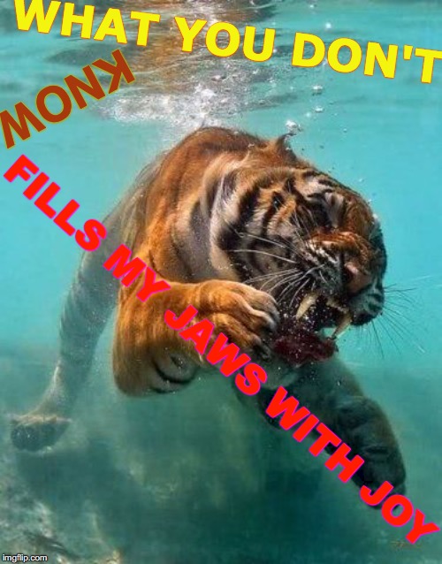 Swimming Tiger | WHAT YOU DON'T; KNOW; FILLS MY JAWS WITH JOY | image tagged in swimming tiger,memes,triggered liberal,expanding brain,face you make robert downey jr,the most interesting man in the world | made w/ Imgflip meme maker