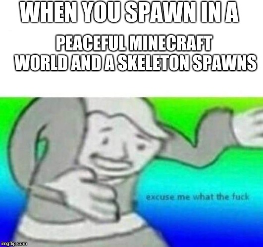 bring back minecraft memes | WHEN YOU SPAWN IN A; PEACEFUL MINECRAFT WORLD AND A SKELETON SPAWNS | image tagged in fallout what thy fck,minecraft,bamboozled | made w/ Imgflip meme maker
