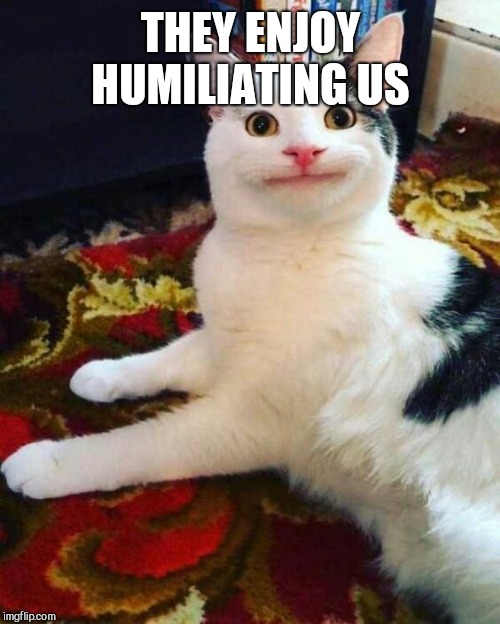 THEY ENJOY HUMILIATING US | made w/ Imgflip meme maker