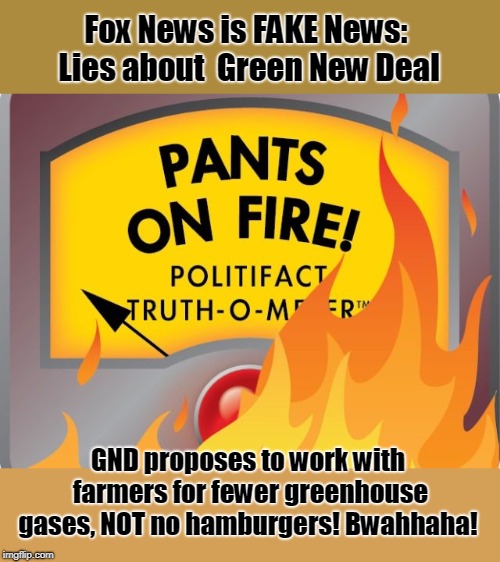 Fox News thinks hamburgers will be outlawed - bwahaha! | Fox News is FAKE News: Lies about  Green New Deal; GND proposes to work with farmers for fewer greenhouse gases, NOT no hamburgers! Bwahhaha! | image tagged in fake news,fox news,fox,hamburgers | made w/ Imgflip meme maker
