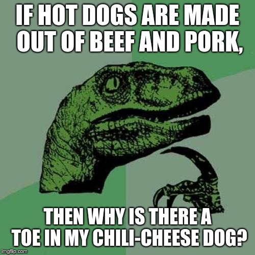 Philosoraptor | IF HOT DOGS ARE MADE OUT OF BEEF AND PORK, THEN WHY IS THERE A TOE IN MY CHILI-CHEESE DOG? | image tagged in memes,philosoraptor | made w/ Imgflip meme maker