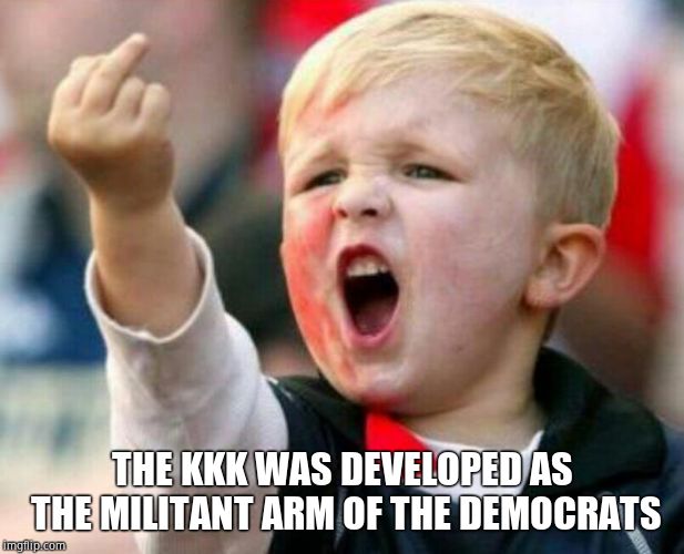 Fuck you kid | THE KKK WAS DEVELOPED AS THE MILITANT ARM OF THE DEMOCRATS | image tagged in fuck you kid | made w/ Imgflip meme maker