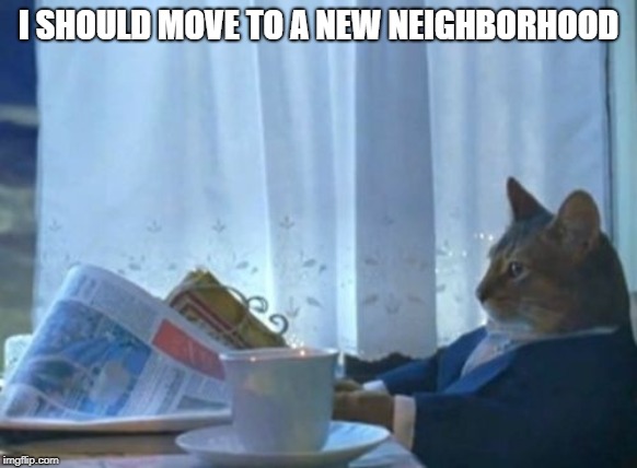 I Should Buy A Boat Cat Meme | I SHOULD MOVE TO A NEW NEIGHBORHOOD | image tagged in memes,i should buy a boat cat | made w/ Imgflip meme maker