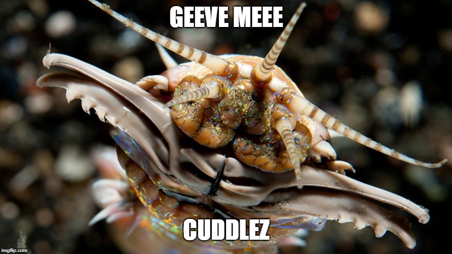 cudle | GEEVE MEEE; CUDDLEZ | image tagged in cuddle | made w/ Imgflip meme maker