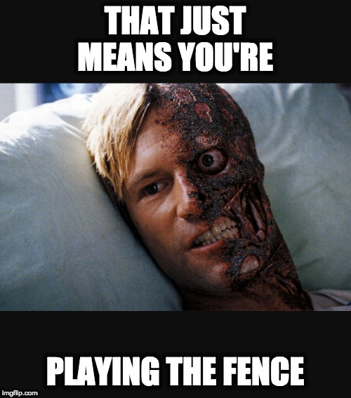 THAT JUST MEANS YOU'RE PLAYING THE FENCE | image tagged in two face | made w/ Imgflip meme maker