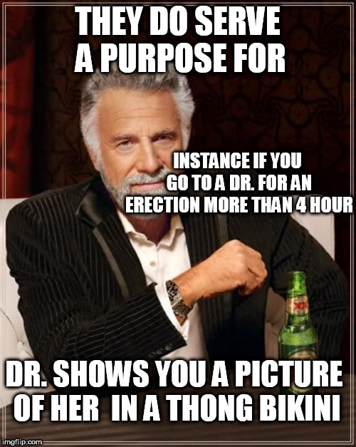 The Most Interesting Man In The World Meme | THEY DO SERVE A PURPOSE FOR INSTANCE IF YOU GO TO A DR. FOR AN ERECTION MORE THAN 4 HOUR DR. SHOWS YOU A PICTURE OF HER  IN A THONG BIKINI | image tagged in memes,the most interesting man in the world | made w/ Imgflip meme maker