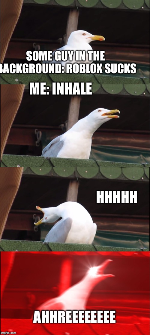 Inhaling Seagull Meme | SOME GUY IN THE BACKGROUND: ROBLOX SUCKS; ME: INHALE; HHHHH; AHHREEEEEEEE | image tagged in memes,inhaling seagull | made w/ Imgflip meme maker