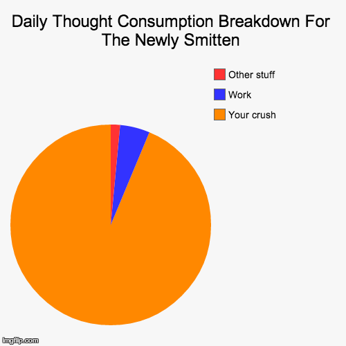 Daily Thought Consumption Breakdown For The Newly Smitten | Your crush, Work, Other stuff | image tagged in funny,pie charts | made w/ Imgflip chart maker