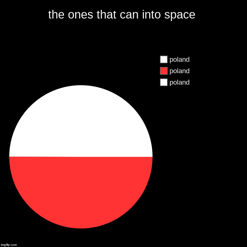 the ones that can into space | poland, poland, poland | image tagged in charts,pie charts | made w/ Imgflip chart maker