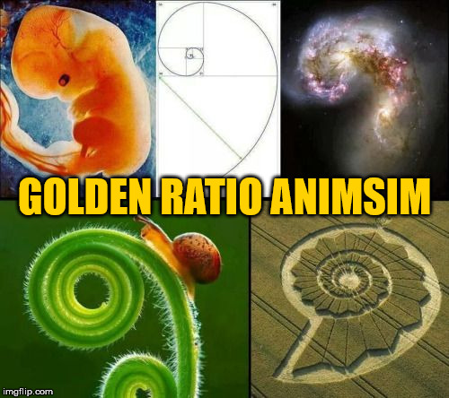 GOLDEN RATIO ANIMSIM | made w/ Imgflip meme maker