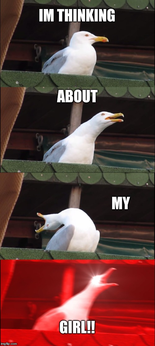 Inhaling Seagull | IM THINKING; ABOUT; MY; GIRL!! | image tagged in memes,inhaling seagull | made w/ Imgflip meme maker