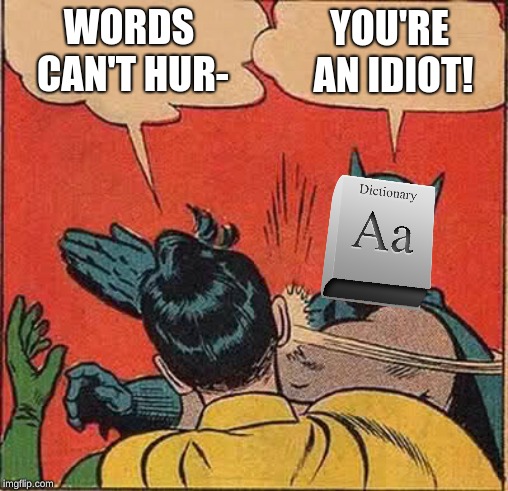Words Can Hurt | WORDS CAN'T HUR-; YOU'RE AN IDIOT! | image tagged in memes,batman slapping robin | made w/ Imgflip meme maker