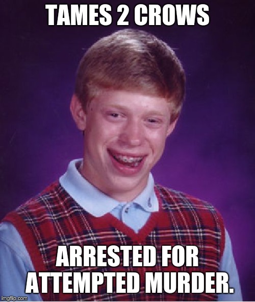 Bad Luck Brian | TAMES 2 CROWS; ARRESTED FOR ATTEMPTED MURDER. | image tagged in memes,bad luck brian | made w/ Imgflip meme maker