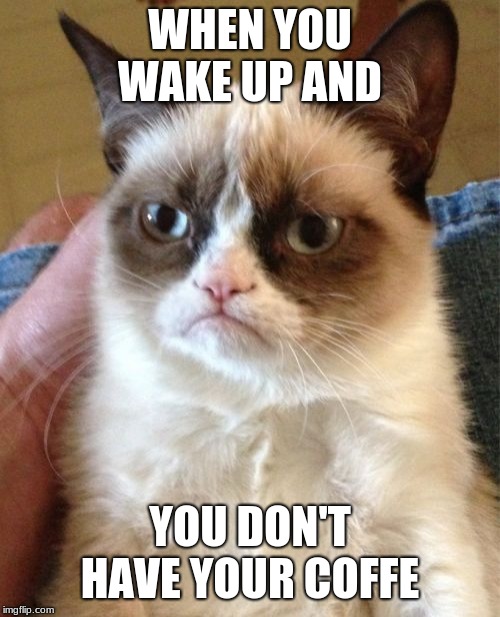 Grumpy Cat | WHEN YOU WAKE UP AND; YOU DON'T HAVE YOUR COFFEE | image tagged in memes,grumpy cat | made w/ Imgflip meme maker