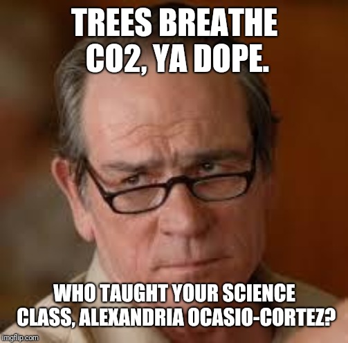 my face when someone asks a stupid question | TREES BREATHE CO2, YA DOPE. WHO TAUGHT YOUR SCIENCE CLASS, ALEXANDRIA OCASIO-CORTEZ? | image tagged in my face when someone asks a stupid question | made w/ Imgflip meme maker