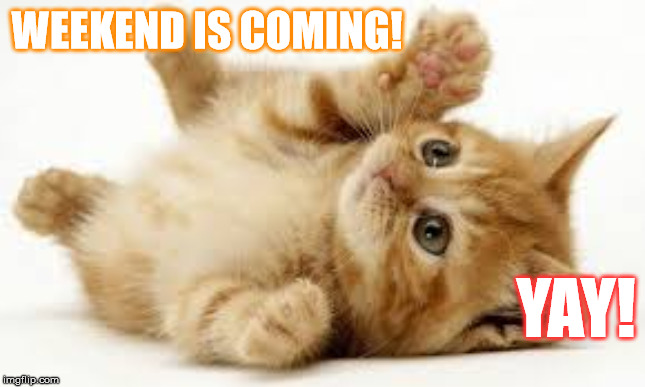 He's happy :) So am I. | WEEKEND IS COMING! YAY! | image tagged in cats,funny,cute,memes | made w/ Imgflip meme maker