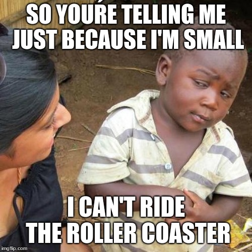 Third World Skeptical Kid Meme | SO YOUŔE TELLING ME JUST BECAUSE I'M SMALL; I CAN'T RIDE THE ROLLER COASTER | image tagged in memes,third world skeptical kid | made w/ Imgflip meme maker