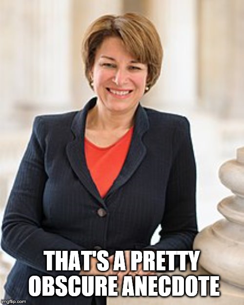 Amy Klobuchar | THAT'S A PRETTY OBSCURE ANECDOTE | image tagged in amy klobuchar | made w/ Imgflip meme maker