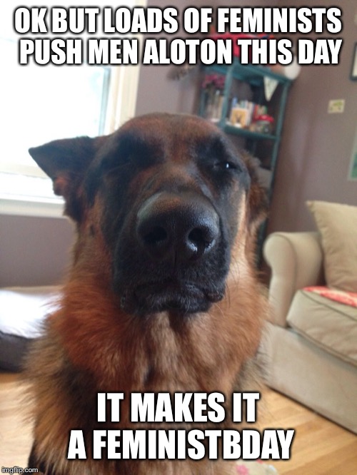 Suspicious German Shepherd | OK BUT LOADS OF FEMINISTS PUSH MEN ALOTON THIS DAY IT MAKES IT A FEMINIST DAY | image tagged in suspicious german shepherd | made w/ Imgflip meme maker