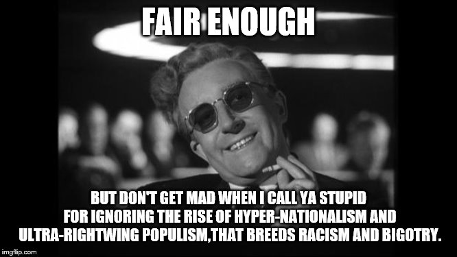 dr strangelove | FAIR ENOUGH BUT DON'T GET MAD WHEN I CALL YA STUPID FOR IGNORING THE RISE OF HYPER-NATIONALISM AND ULTRA-RIGHTWING POPULISM,THAT BREEDS RACI | image tagged in dr strangelove | made w/ Imgflip meme maker